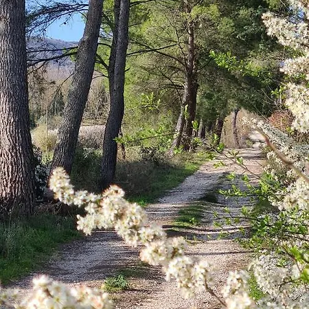 Apartament Colle Del Vento