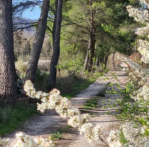 公寓 Colle Del Vento